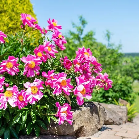 Apartmán Haus Erlenmaier *