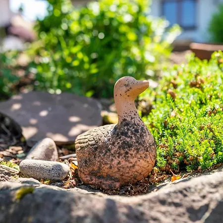 Apartmán Haus Erlenmaier